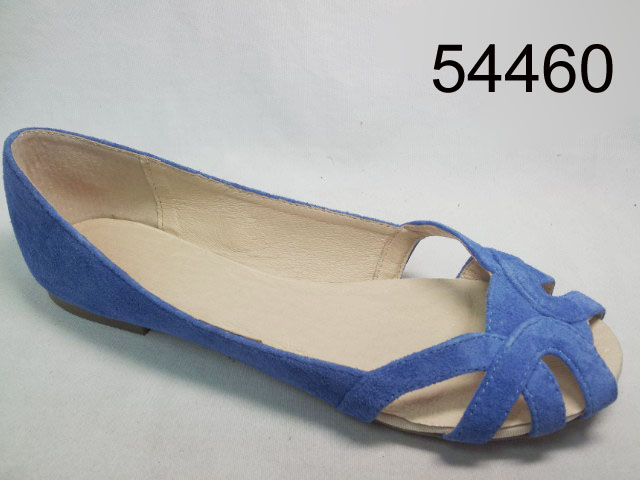 54460 BLUE 